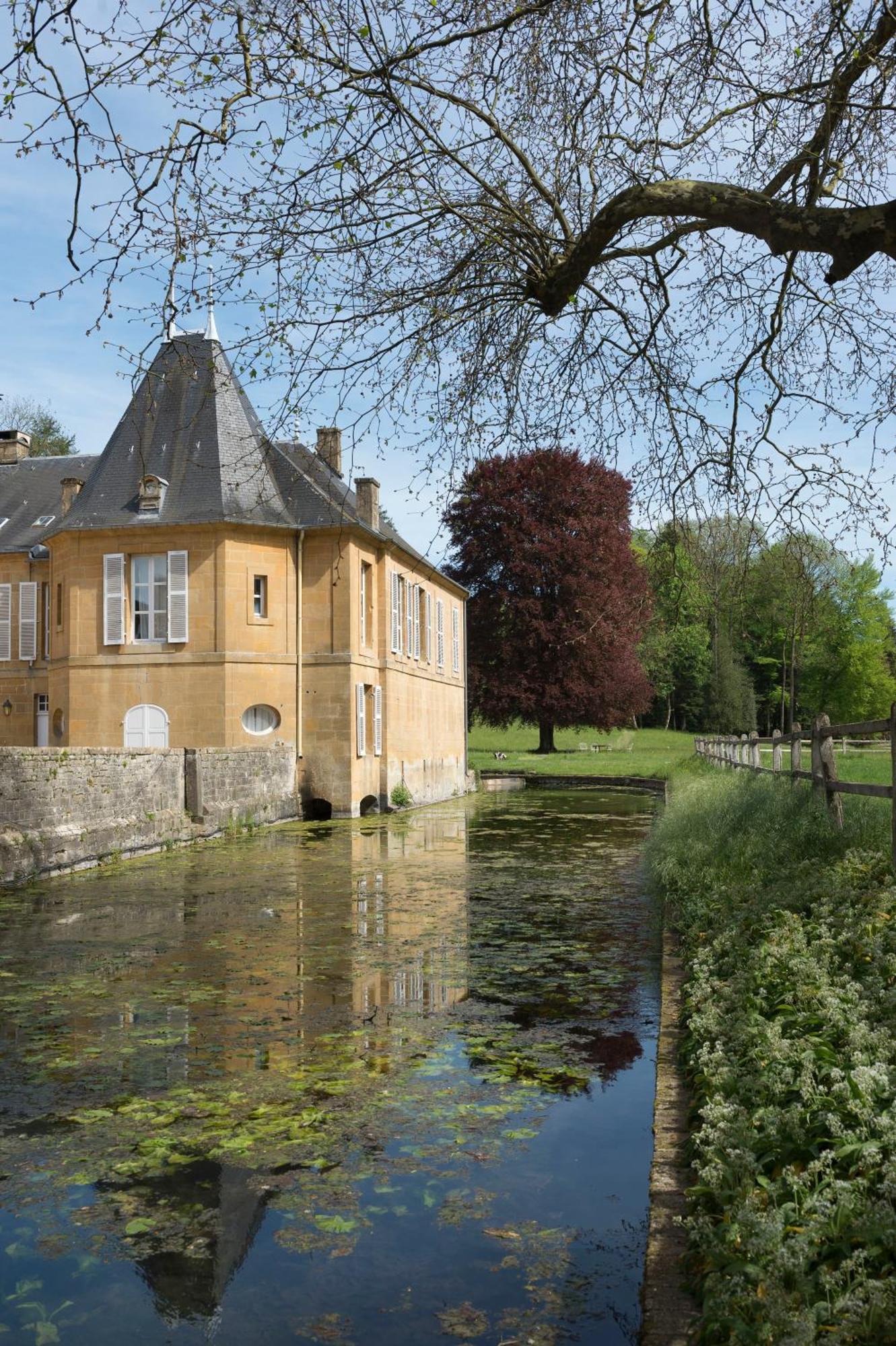 Chateau De Martigny Colmey Exterior foto